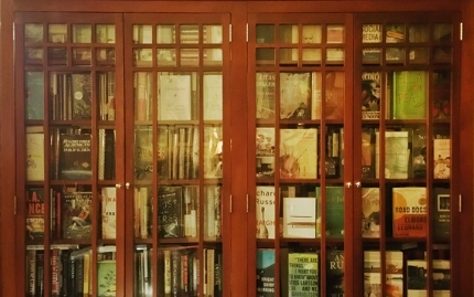 Bookcase_resized_cropped_SM